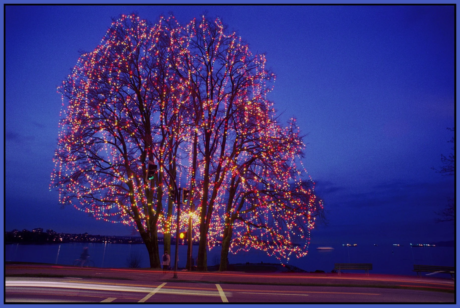 English Bay Tree Lights_Jan 10_2001_1_4x6s.jpg