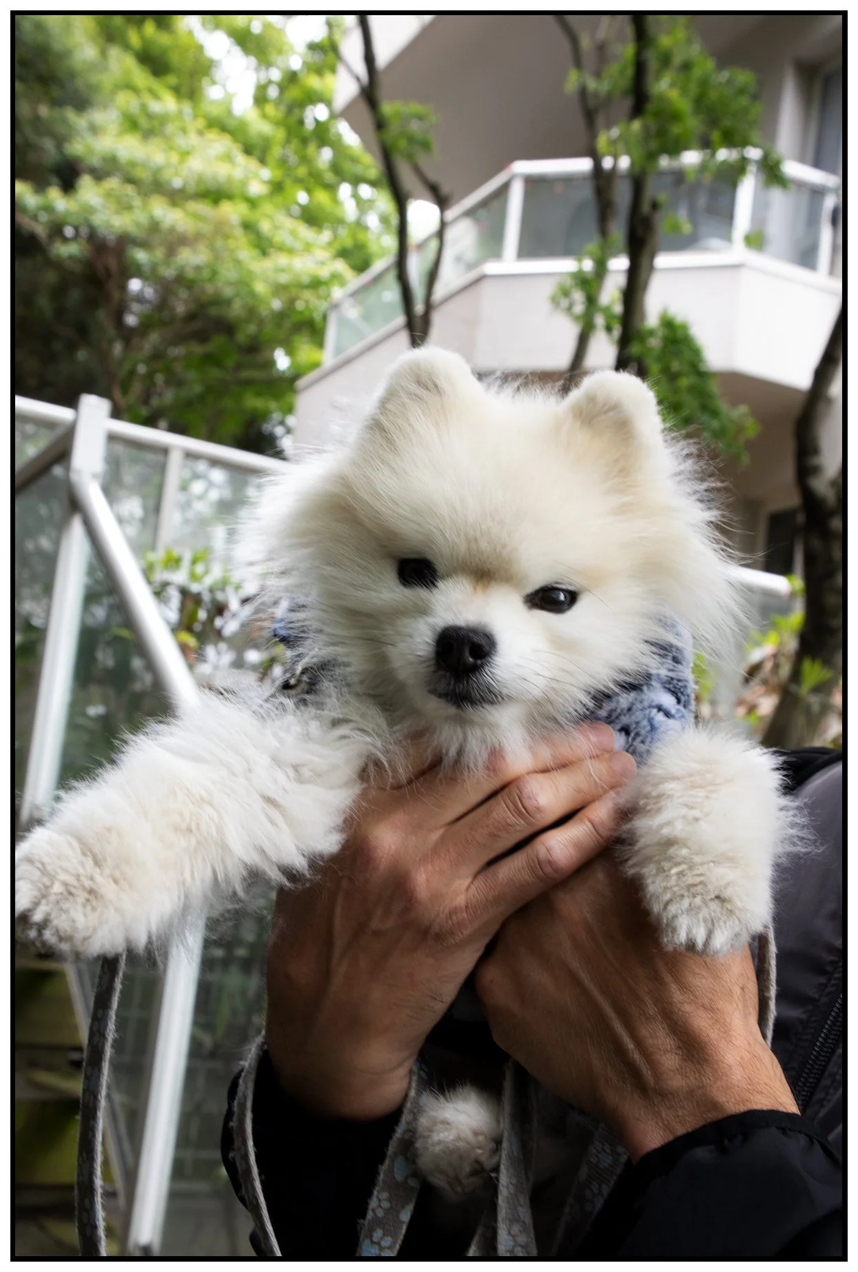 Miko in New West_May 19_2022_CR2_4G9656_4x6s.jpg