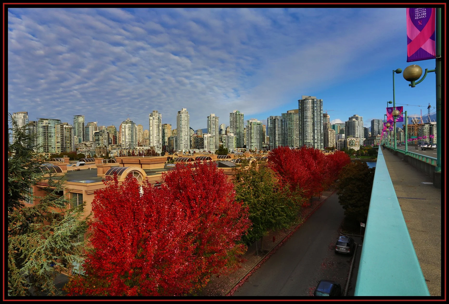 Cambie Bg LkgNW Trees_Oct 11_2015_HDR_H3919_4x6s.jpg