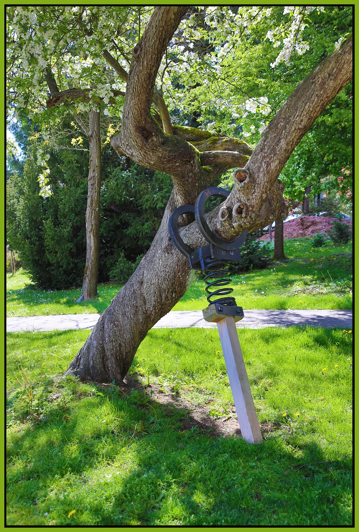 New Westminster Tree Support_May 2_2024_HDR_4H7525_4x6s.jpg