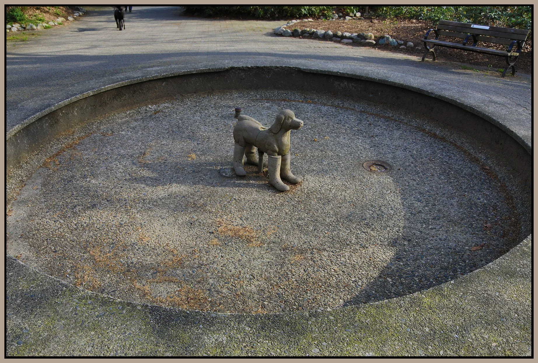 902 W 7th Dog Art_Apr 24_2022_HDR_4G8577_4x6s.jpg
