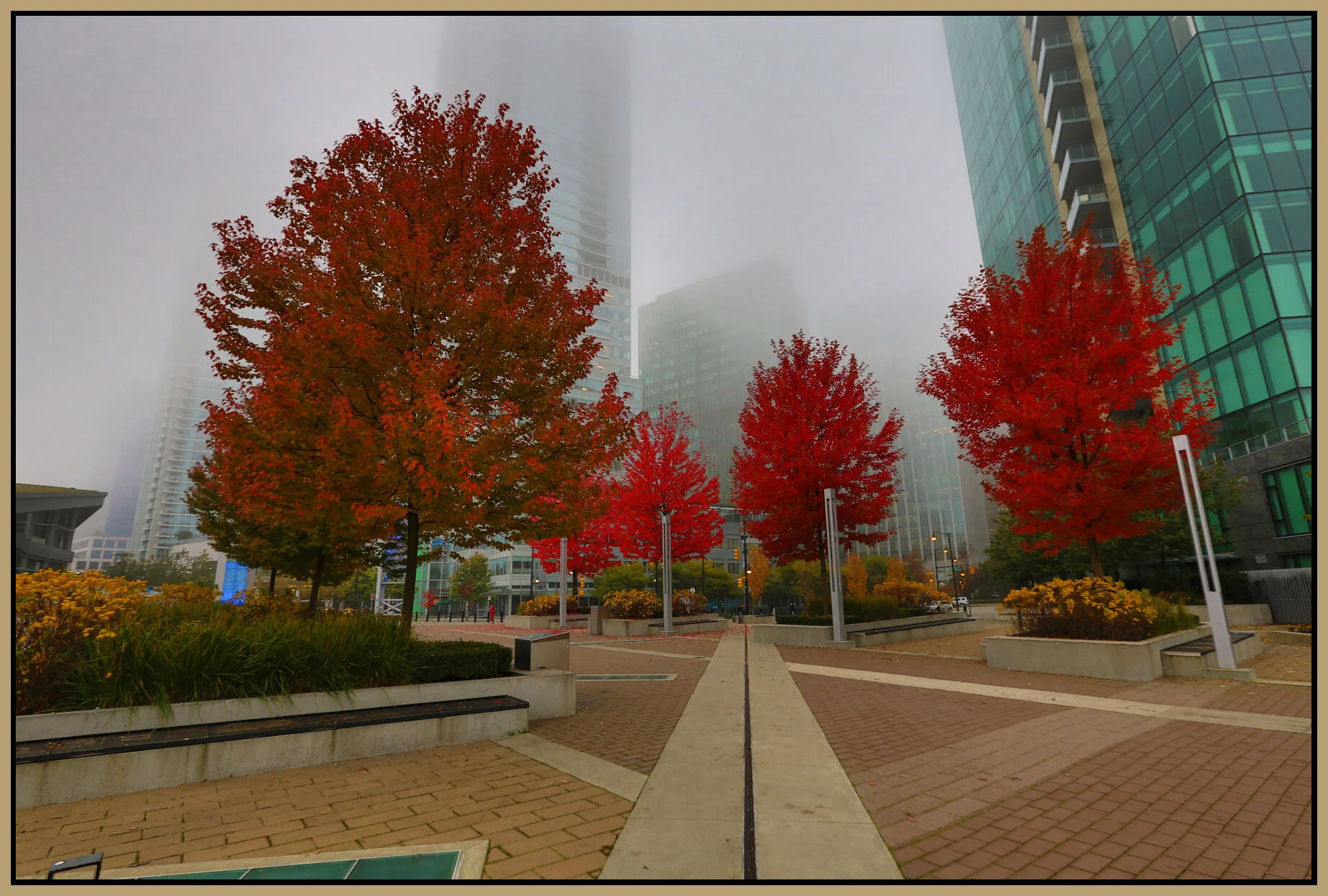 Jack Poole Pl_Oct 21_2013_HDR_D8802_4x6s.jpg