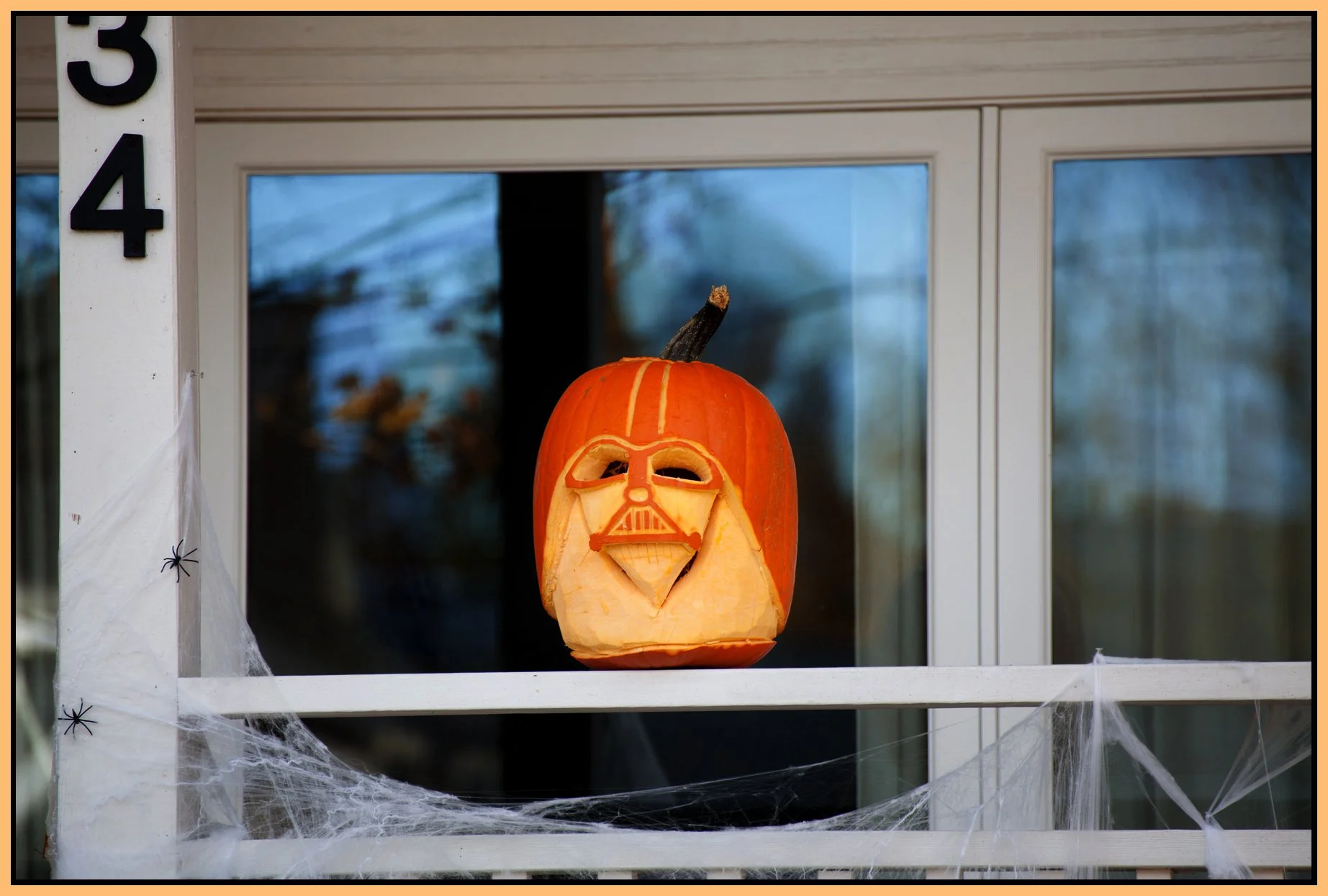 Pumpkins_Nov 3_2013_5670_4x6s.jpg