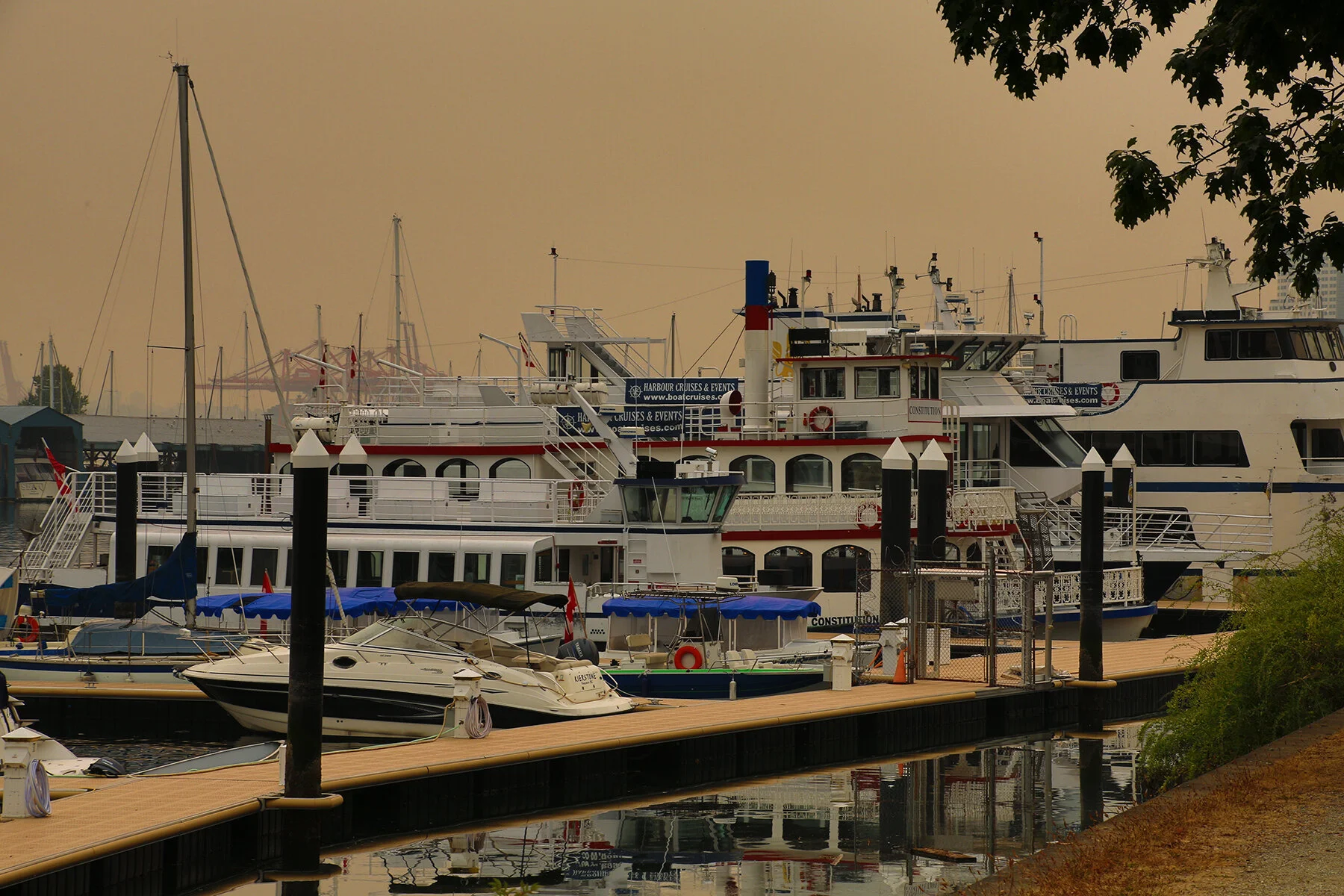 Coal Harbour Charter Boats_Aug 19_2018_HDR_A7224_4x6.jpg