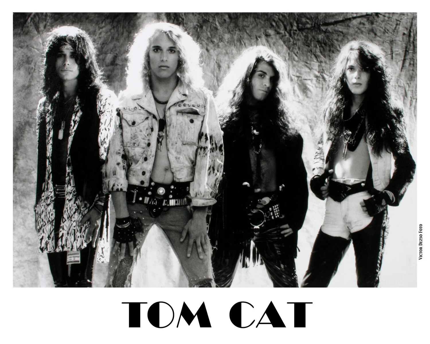 Tom Cat_5869_4x5.jpg