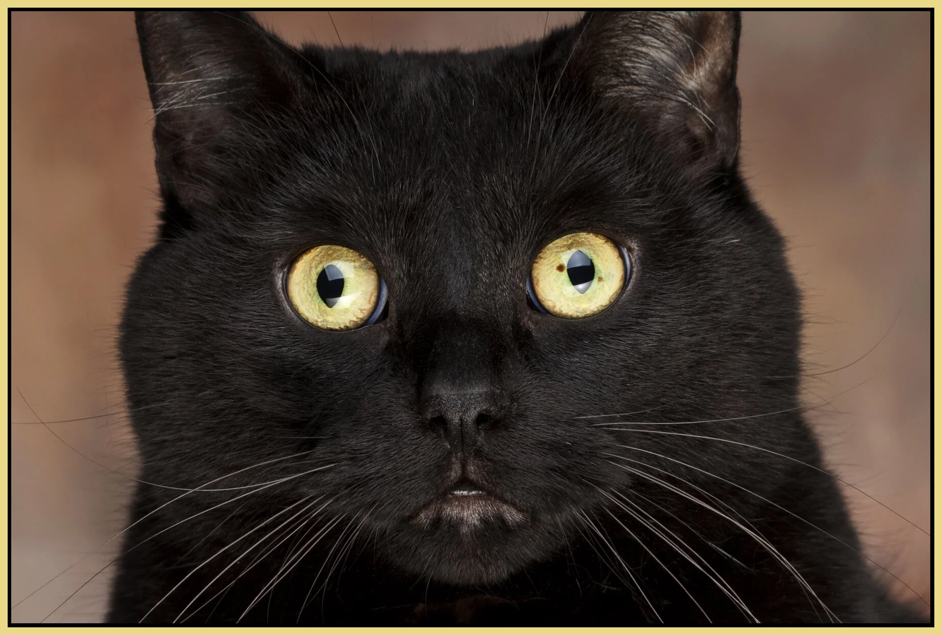 CC_Dec 9_09_0398_2_4x6s.jpg