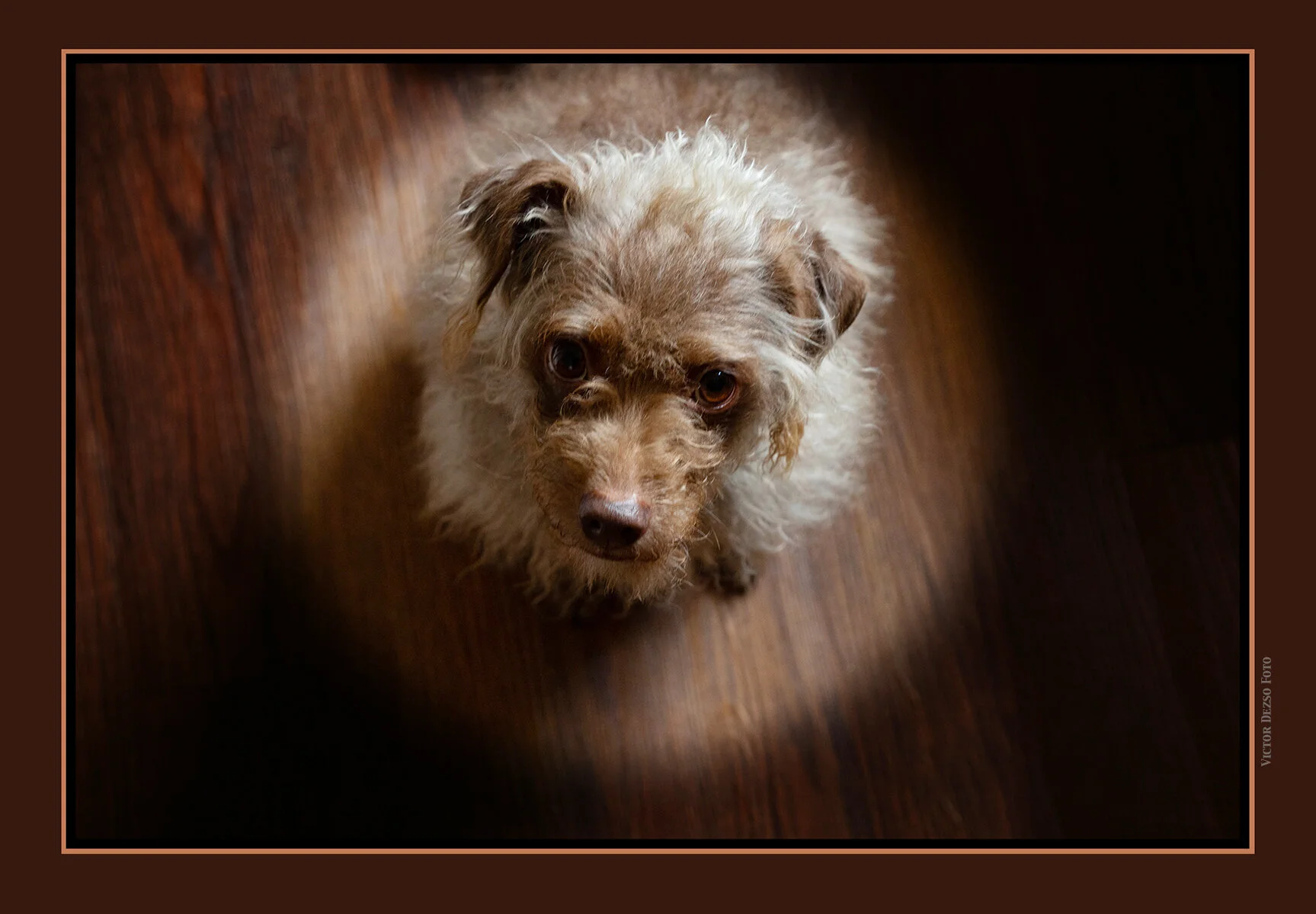 Frances_Mar 7_2021_CR2_4G5743_4x6_1ss.jpg