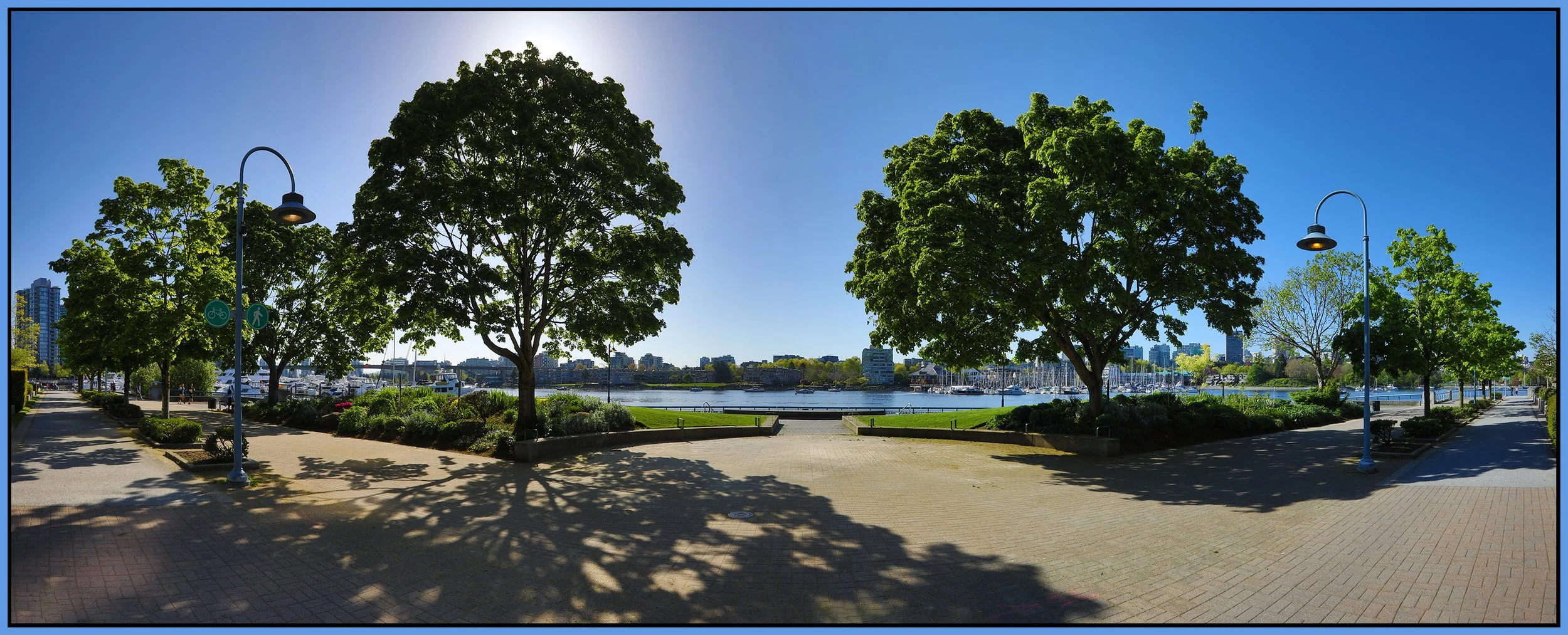 Concord Pacific Trees LkgS_May 11_2023_HDR_Pan_5C8771_1_4x10s.jpg