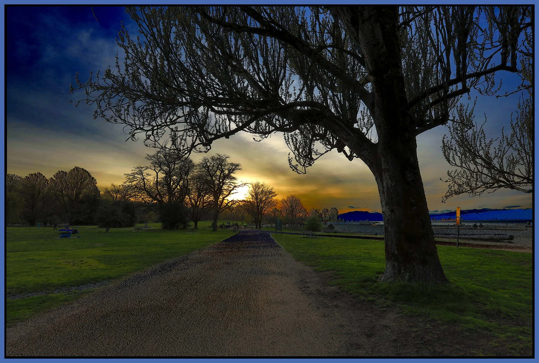 Jericho Park Trees_Apr 26_2023_HDR_5D7726_peCombo_4x6s.jpg