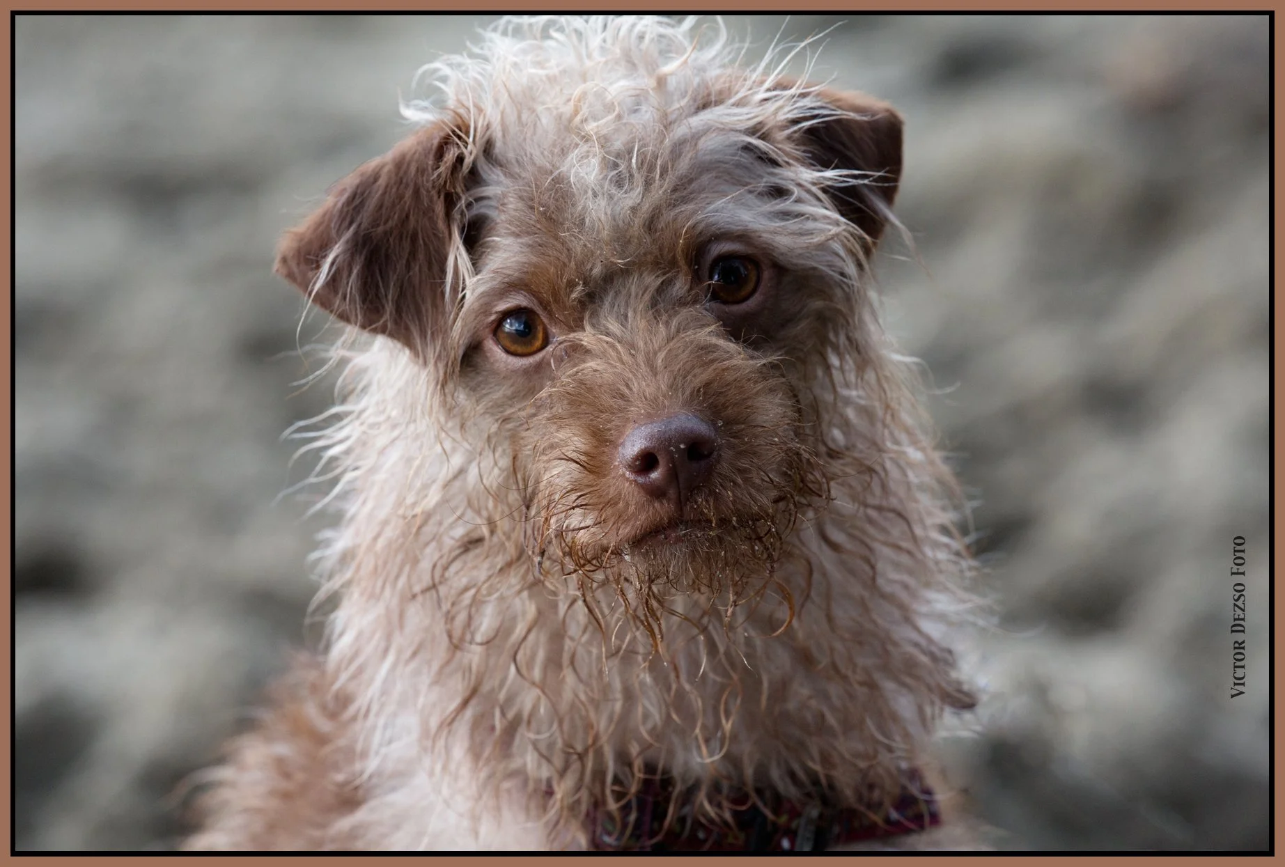 Frances in Cates Pk_Jan 24_2016_K7303_4x6ss.jpg