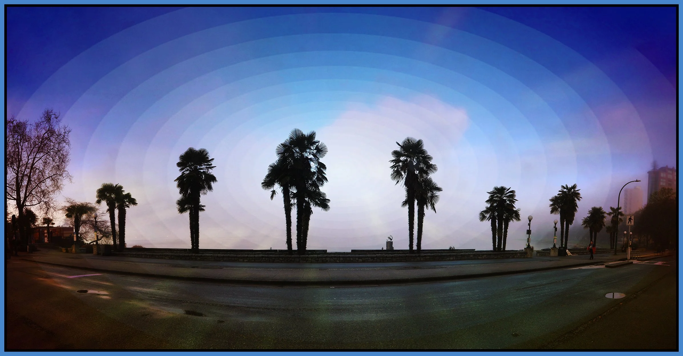 English Bay Palm Trees_Jan 6_2025_HDR_Pan_5E7313_peMajorTweaks_1_4x8s.jpg