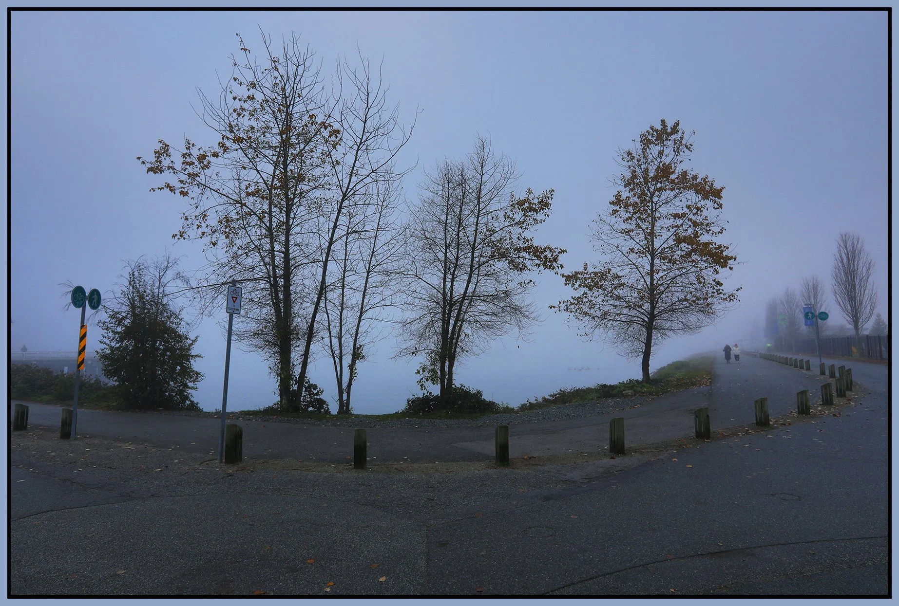 6 View Trees False Creek in Fog_Nov 29_2023_HDR_5E1095_4x6s.jpg