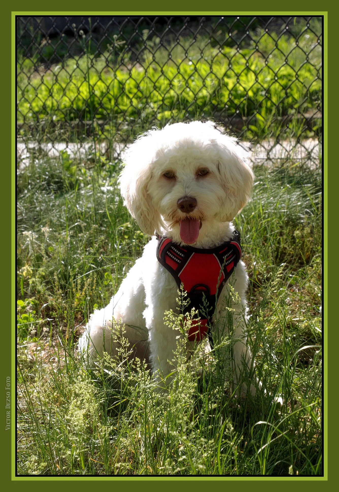 Olaf_Jun 1_2023_4H7603_peSubtleShrpn_BWSftFem_4x6ss.jpg