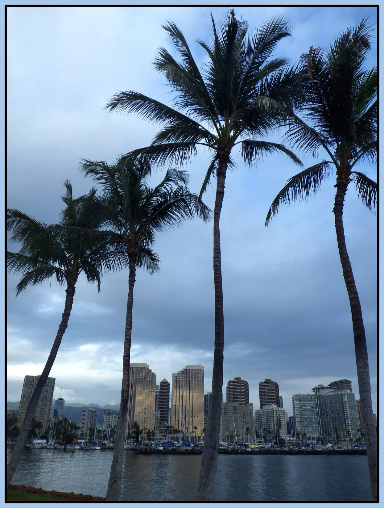 Hawaii Nov_2012_VDF10238_4x5.3s.jpg