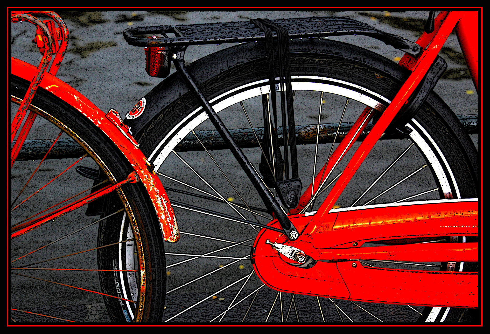 Amsterdam_Oct 18_2011_9920_peComic_4x6s.jpg