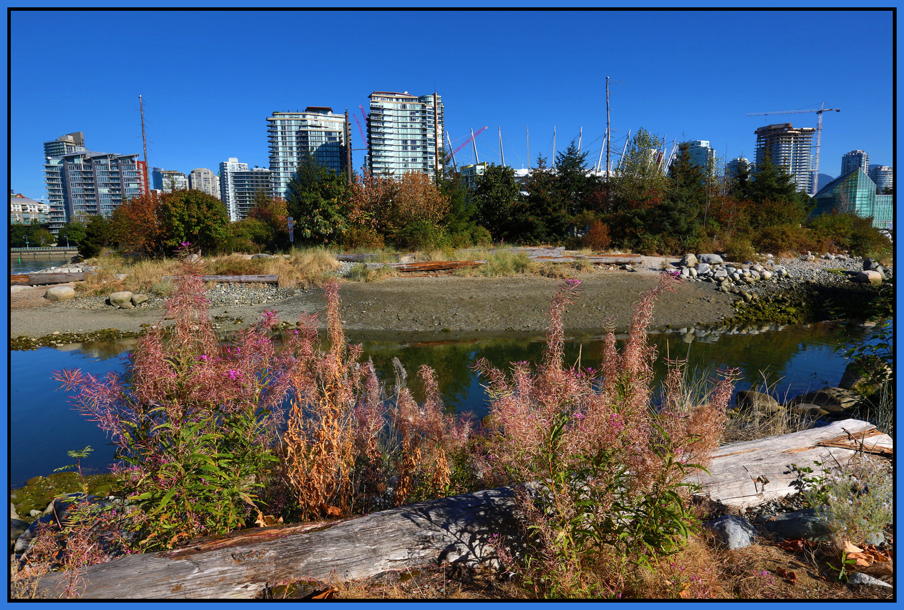 3.6 View Vancouver_Aug 24_2016_HDR_L5720_4x6s.jpg