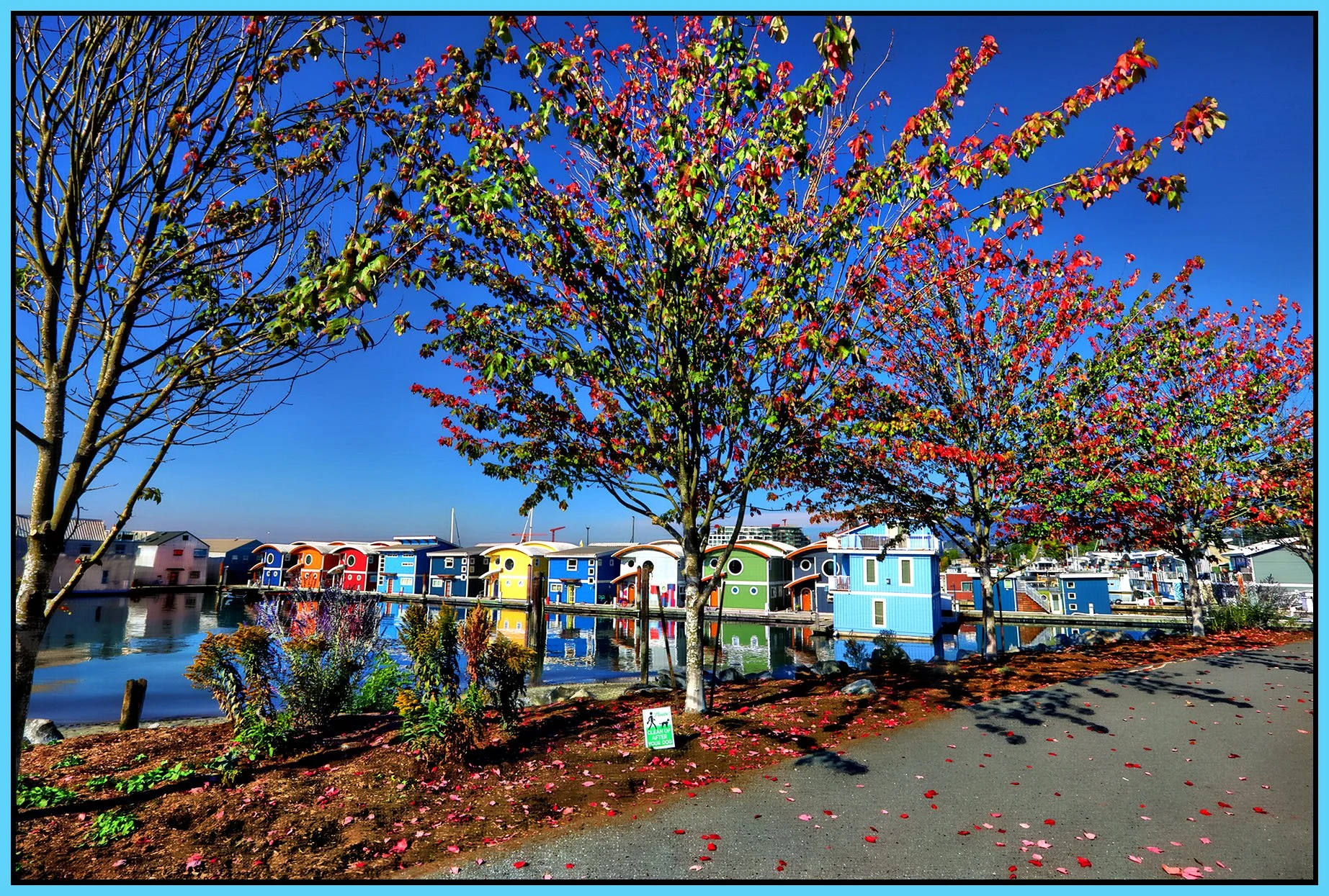 North Van Boathouses & Trees_Sep 20_2026_HDR_4L3140_peHdr2013_1_4x6s.jpg