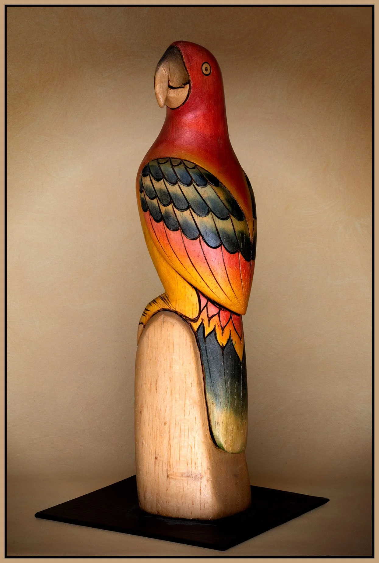 Parrot_Nov 19_2021_CR2_5A0944_peWowEffct1_DecRadVig_4x6s.jpg