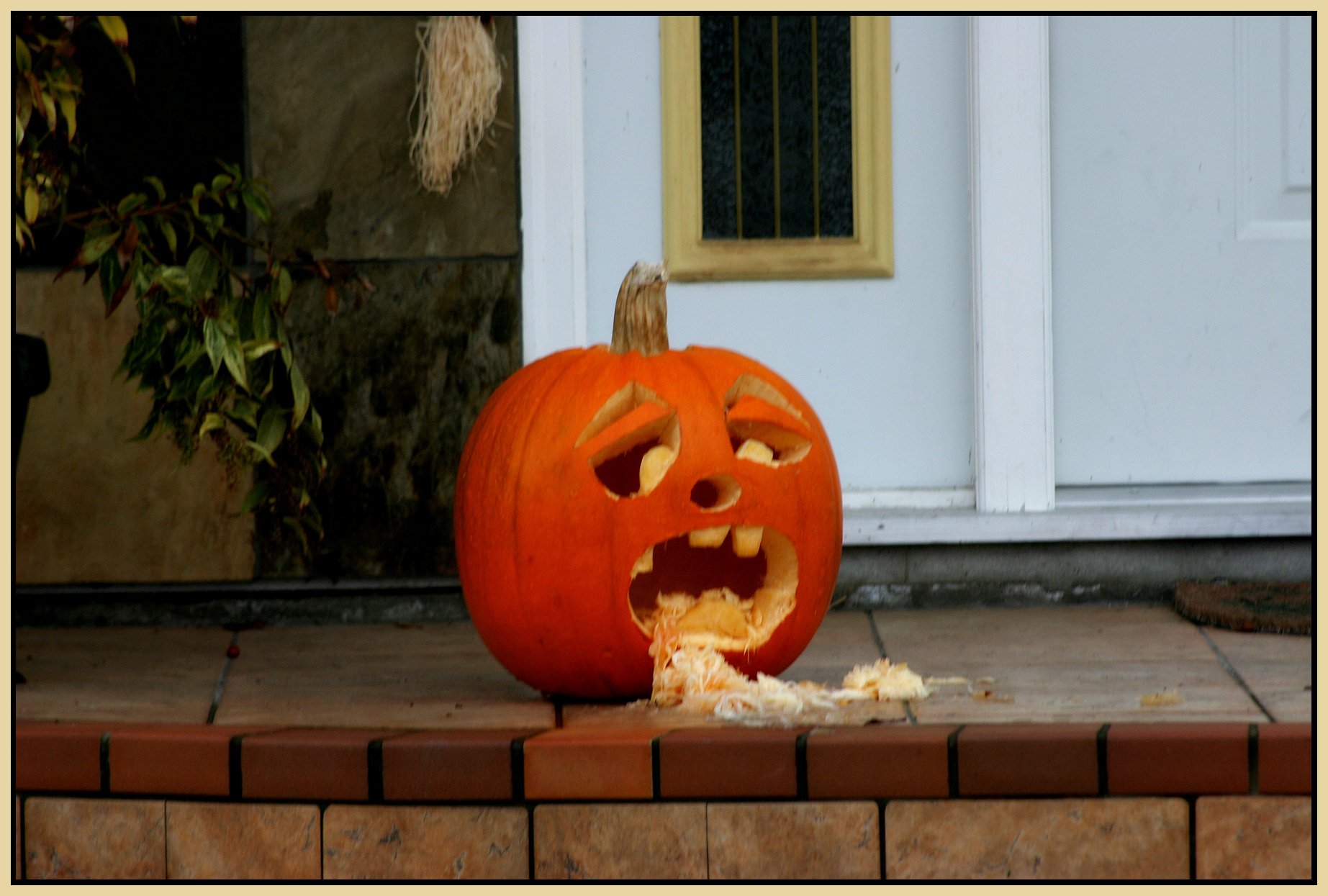 Pumpkin Head_2545_4x6s.jpg