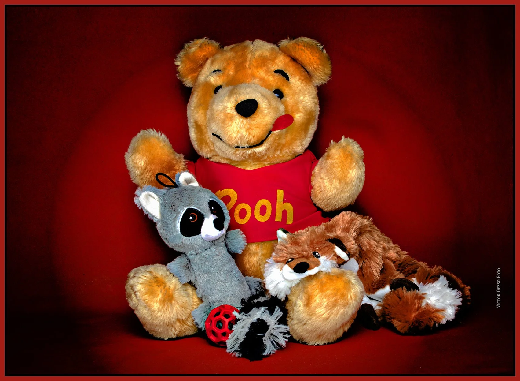 Pooh and Friends_Aug 27_2023_CR2_5C5131_peDecRad Vig_Gio_4x6s.jpg