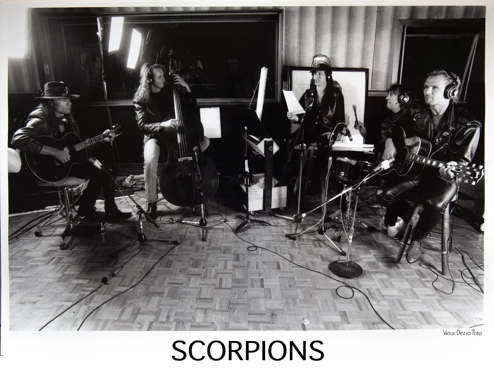 Scorpions_7806_4x5.jpg