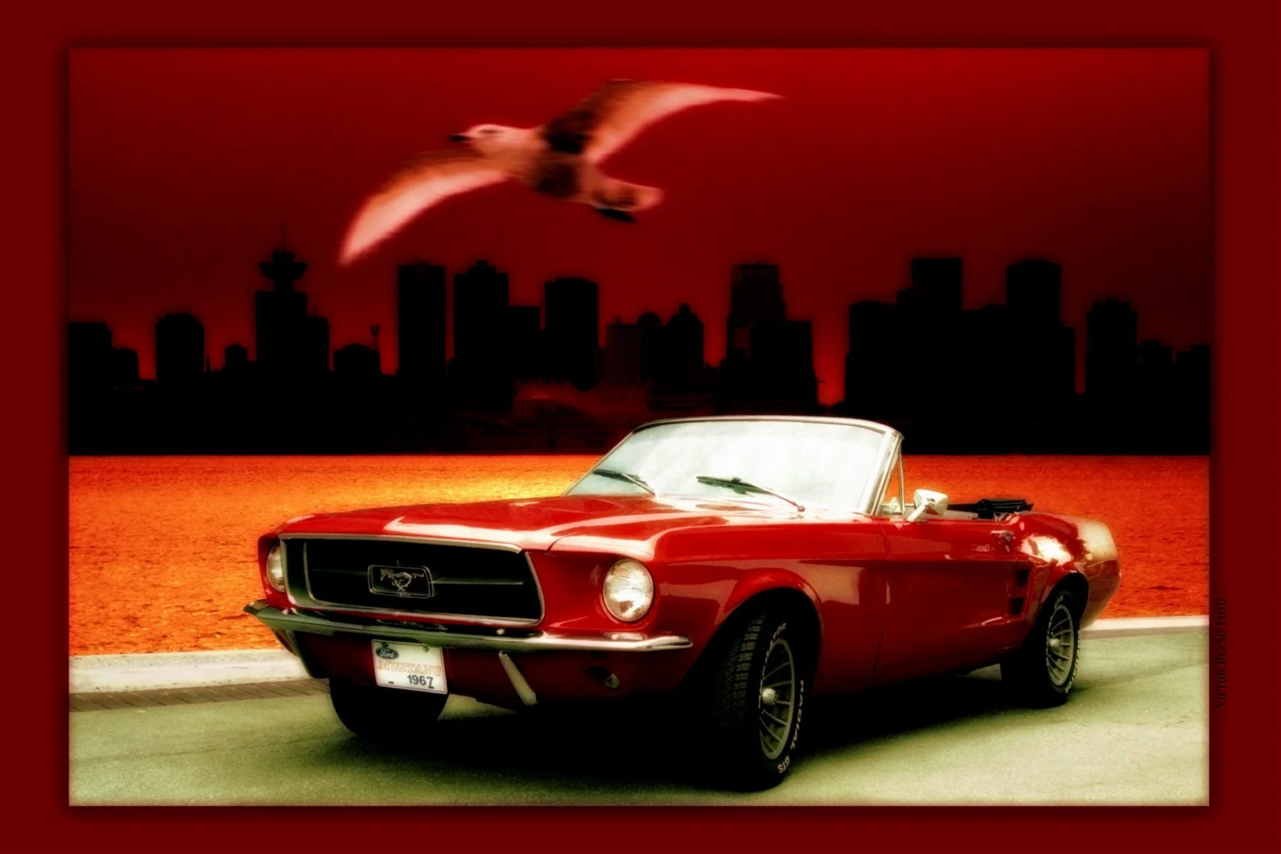 Mustang 1967_6.1_4x6s .jpg