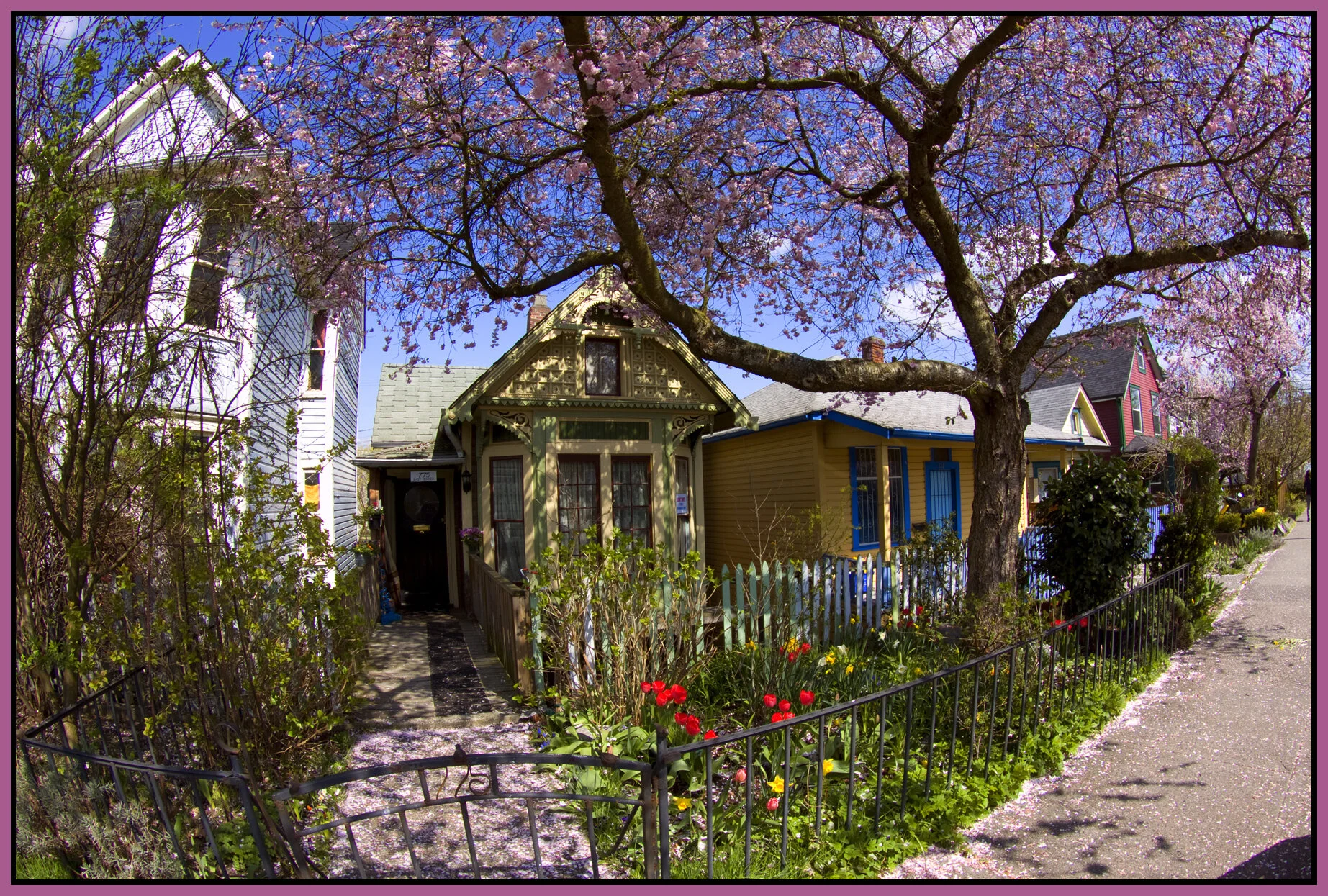 775 E Pender_Apr 15 09_2840_vel_4x6s.jpg