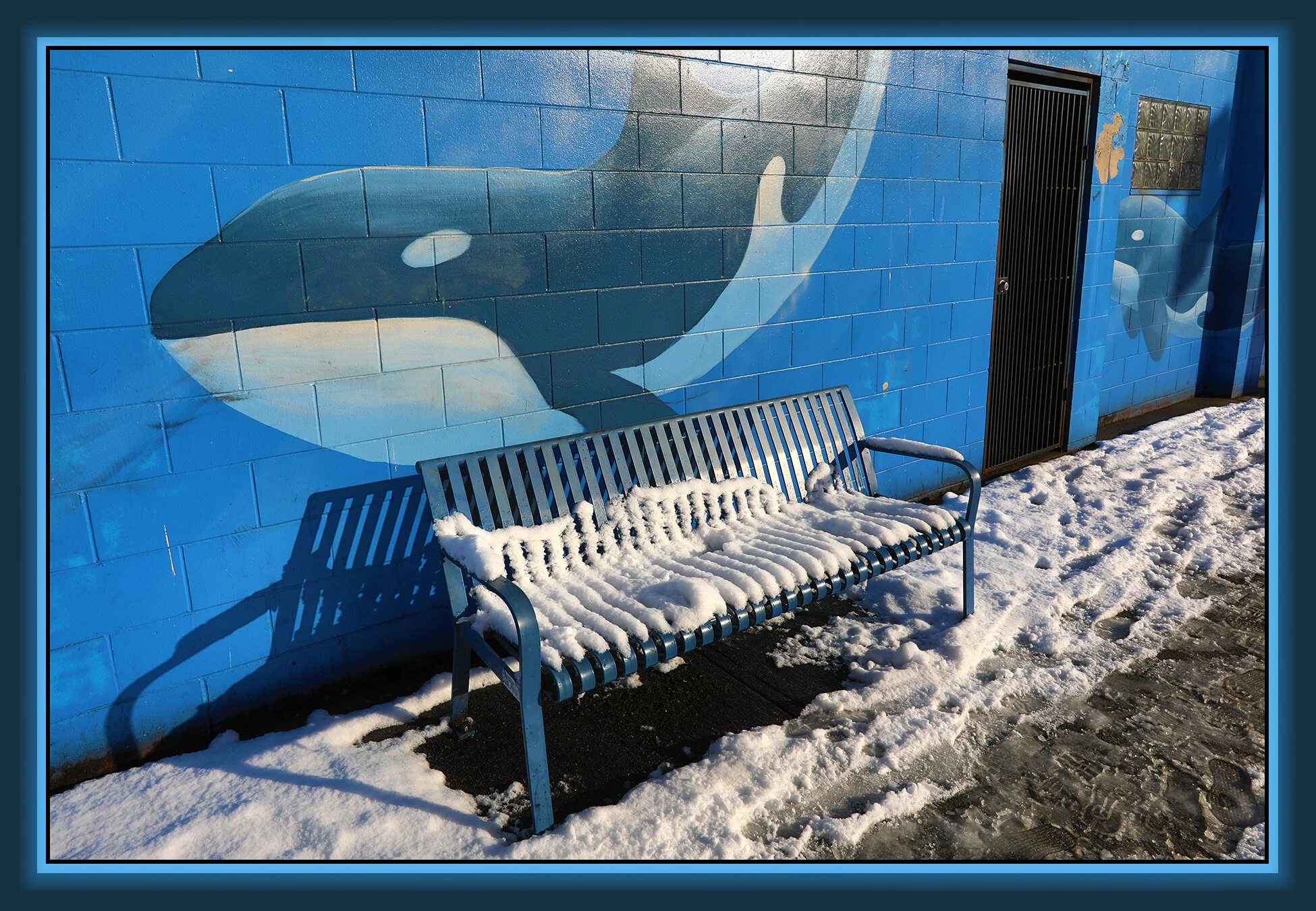 Bench in Snow on Powell St_Feb 13_2019_HDR_D9853_4x6s.jpg