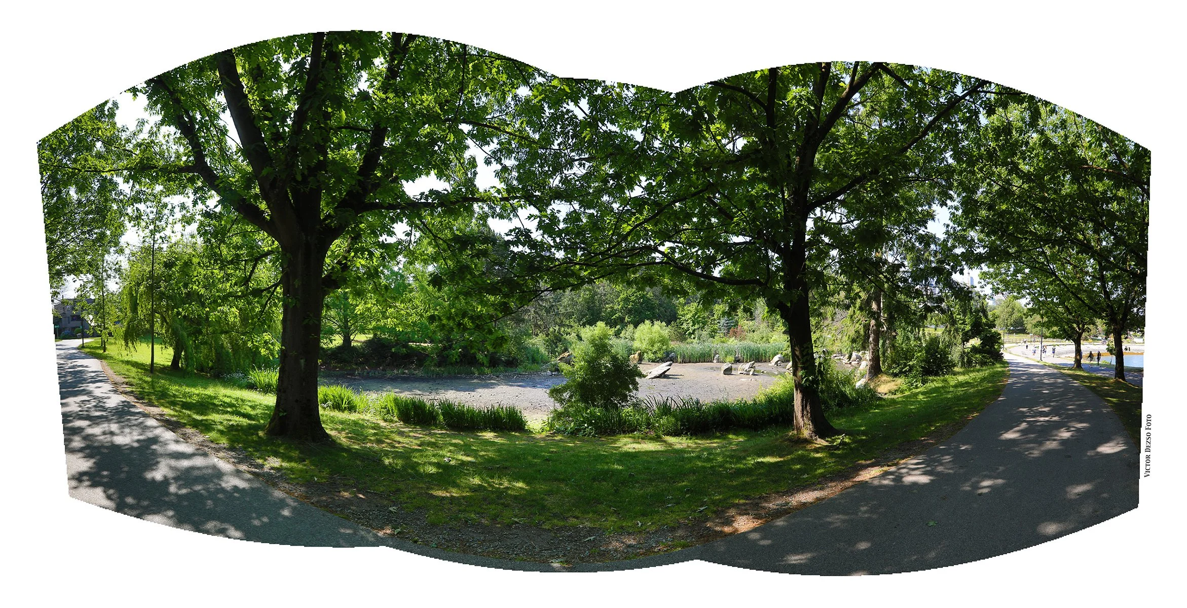 Charleson Park Pond 180_Jun 14_2025_HDR_Pan_4J6249_4x8.jpg
