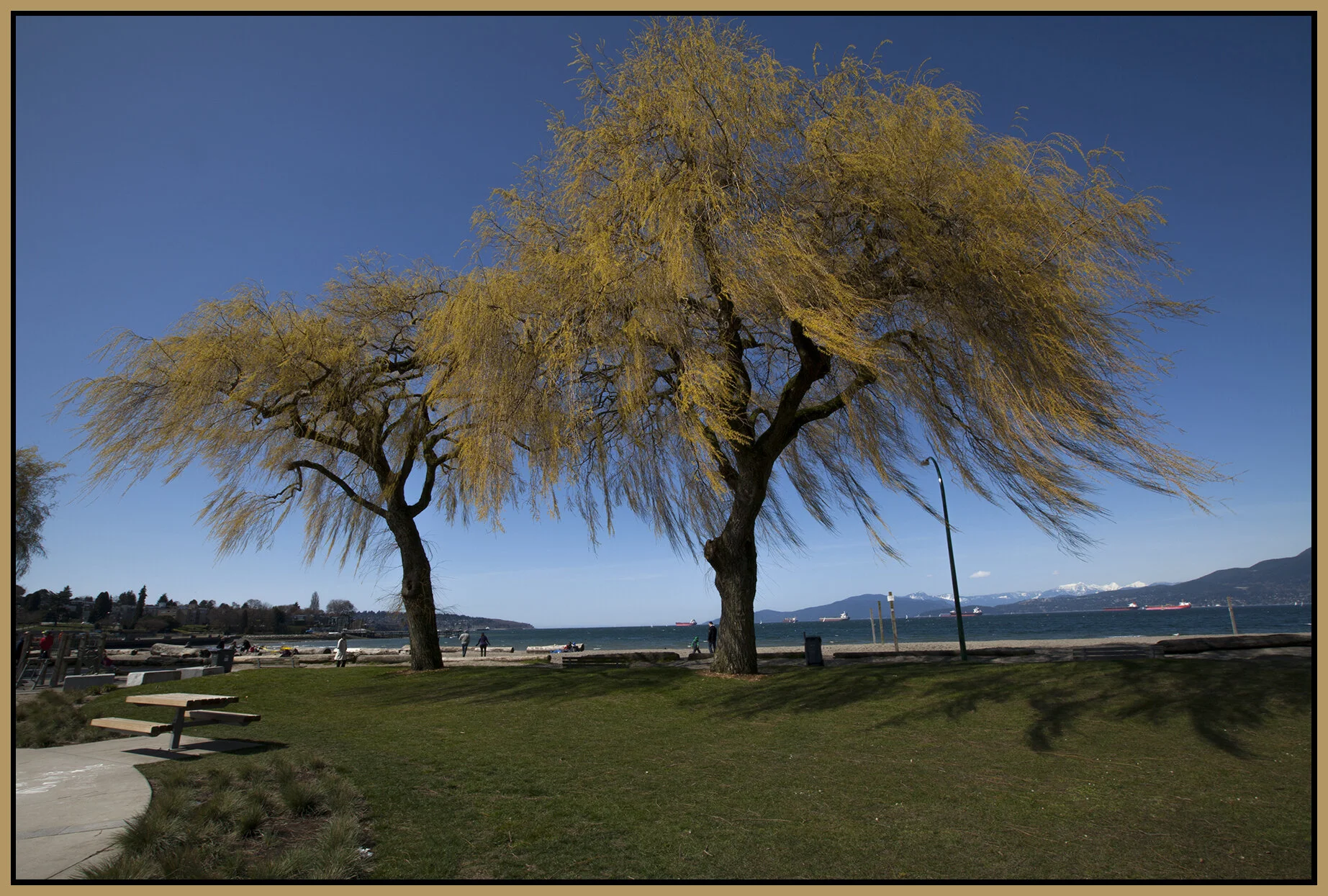 Kits Beach_mar 25_2012_1047_4x6s.jpg