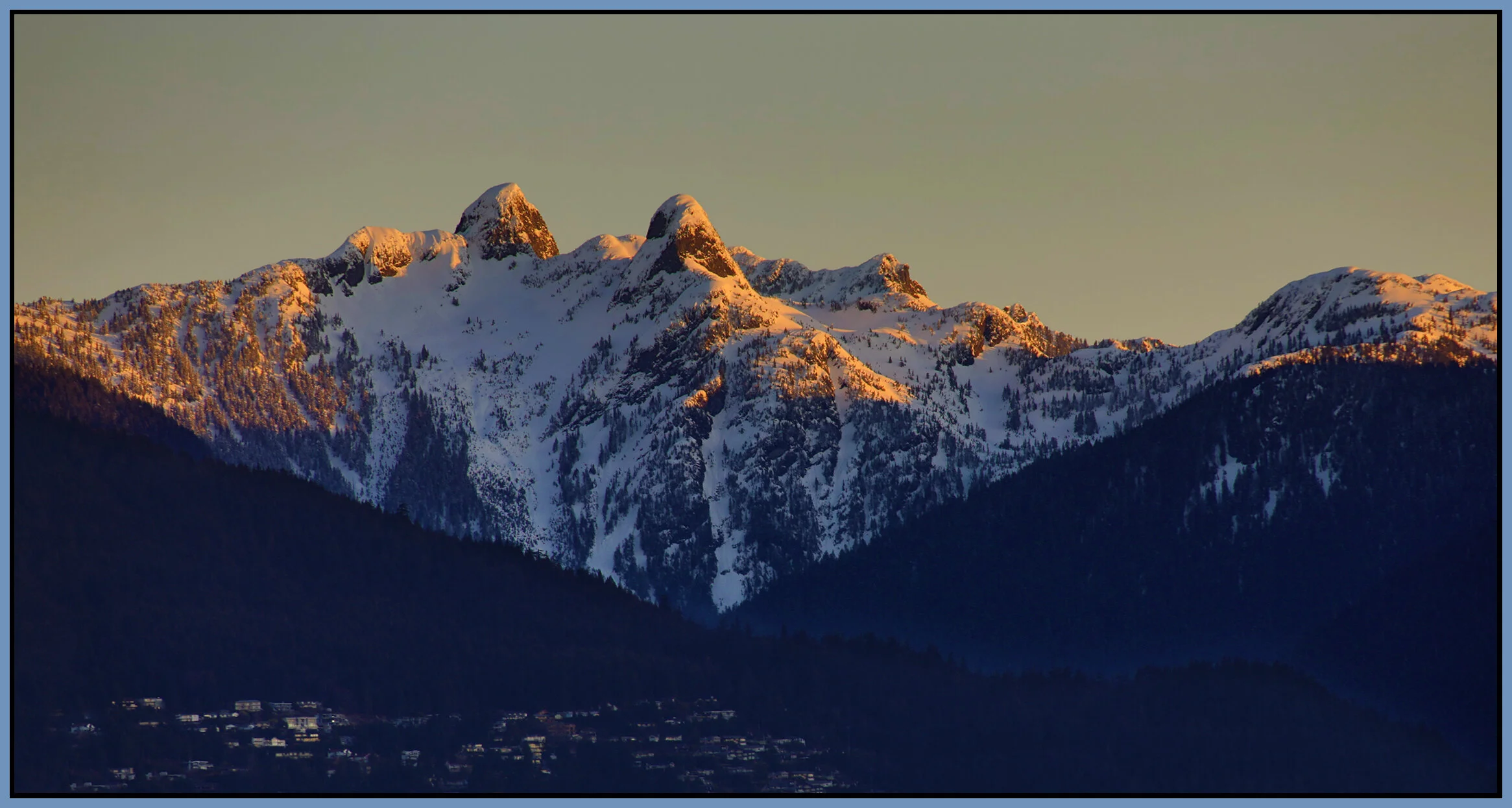 Lions Ears_Apr 12_2021_HDR_5A7690_4x7s.jpg