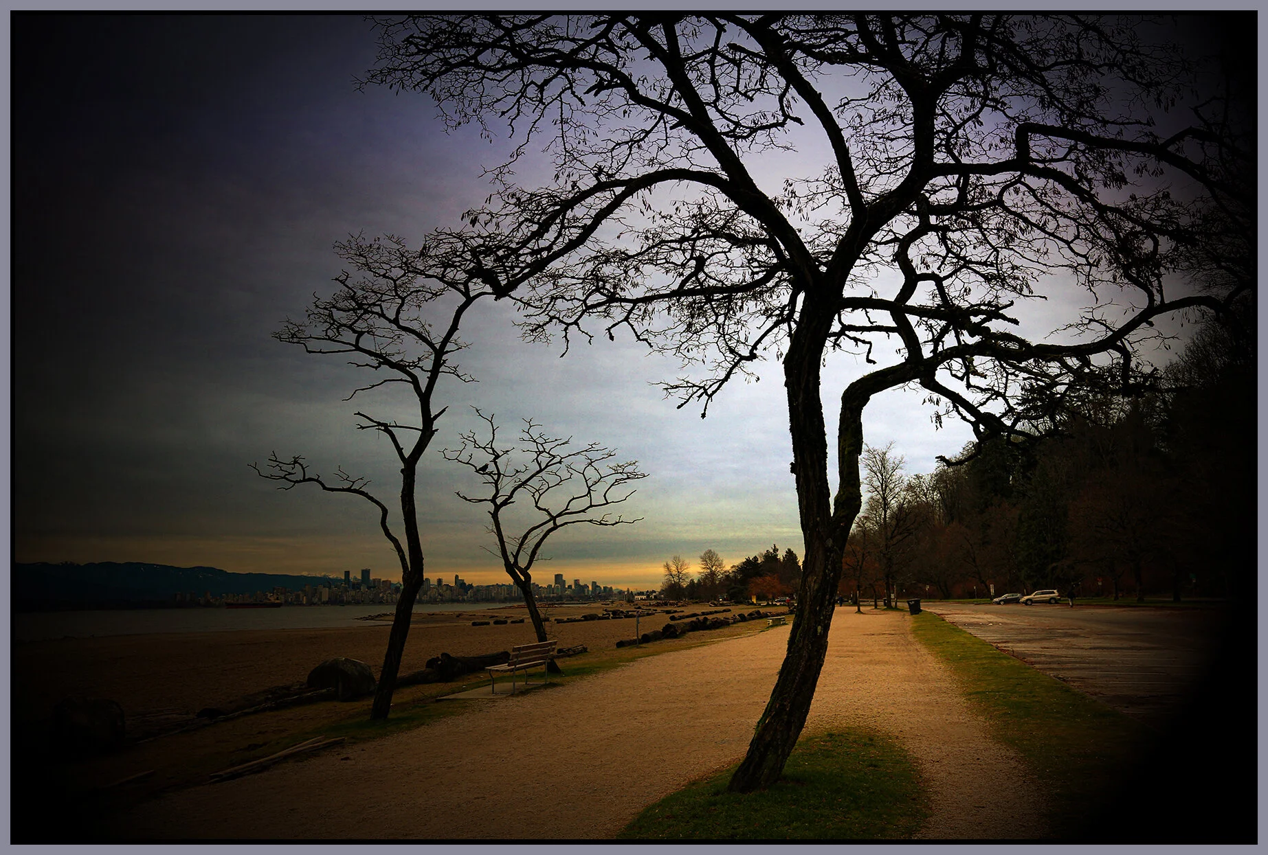 Trees on Spanish Banks_Jan 2_2019_HDR_A1667_peIntnSunst_4x6s.jpg