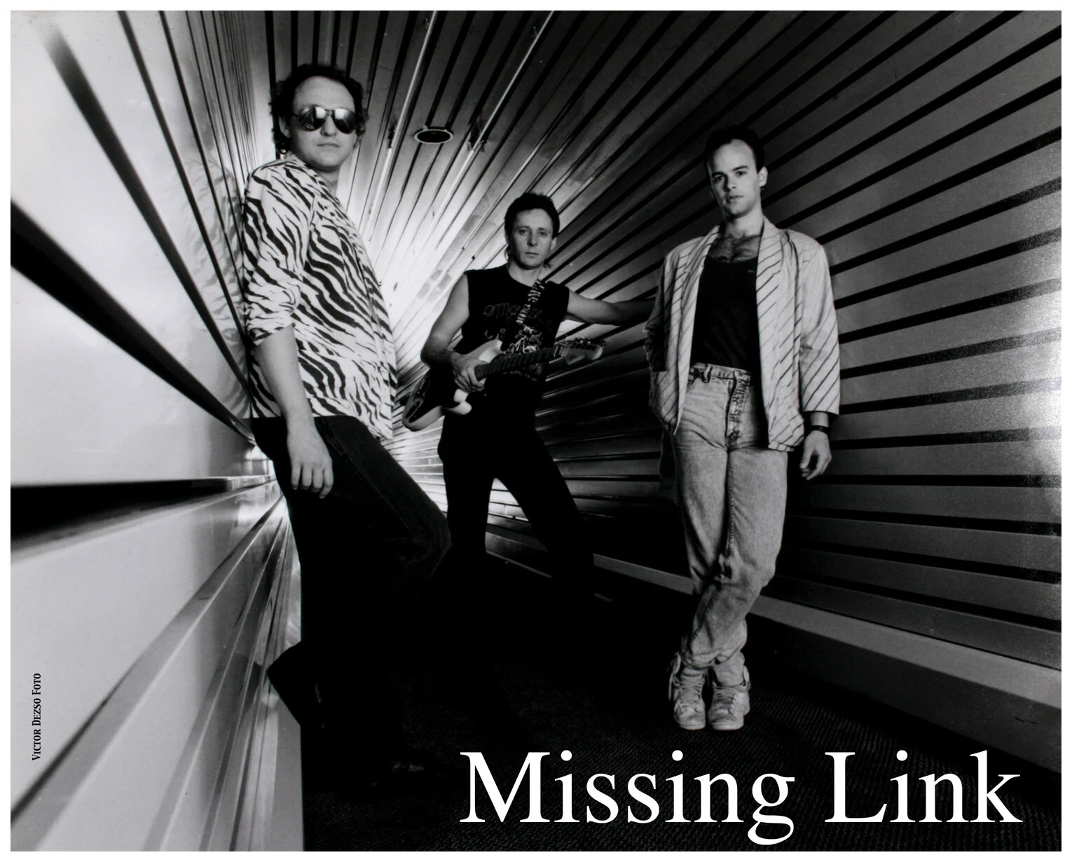 Missing Link_4279_4x5s.jpg