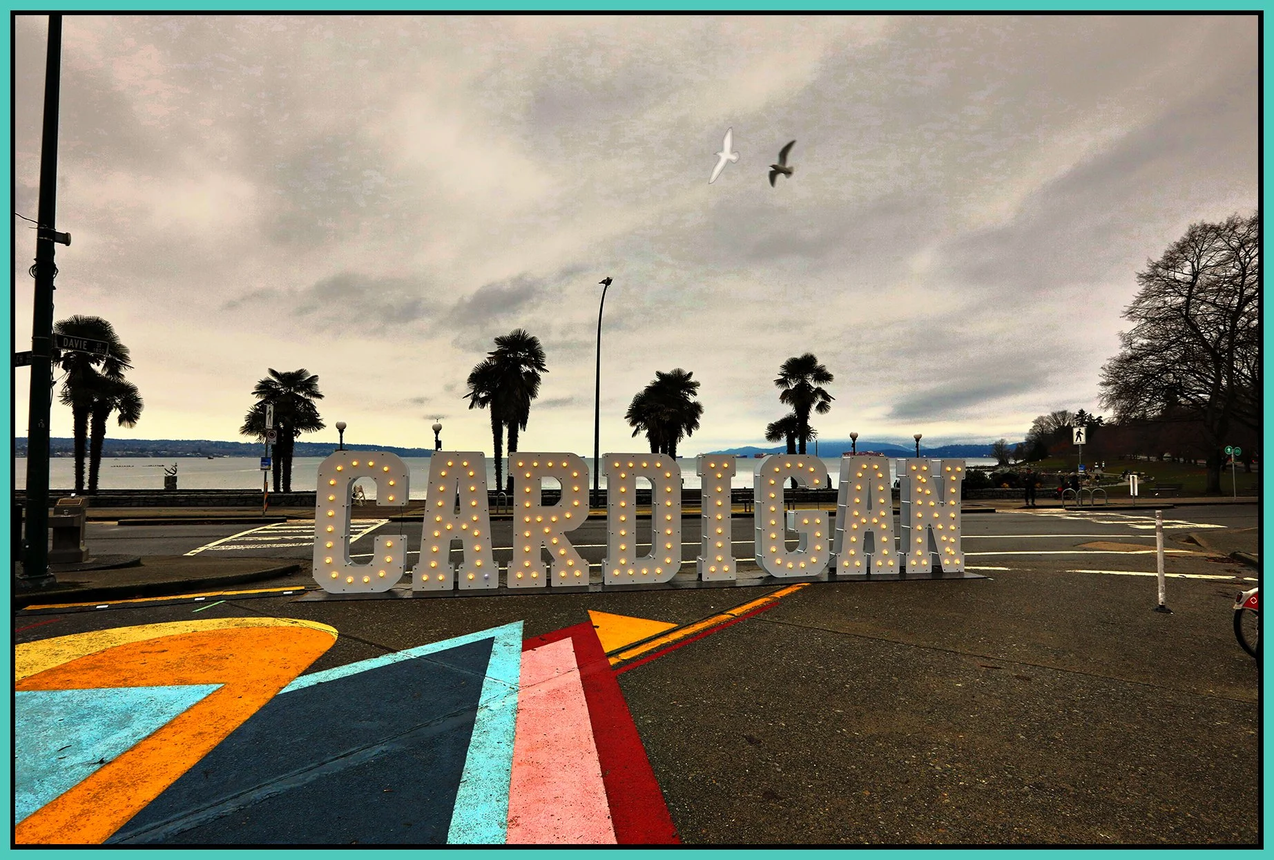 Bay Cardigan Sign_Nov 30_2024_HDR_5E5940_peWw_4x6s.jpg