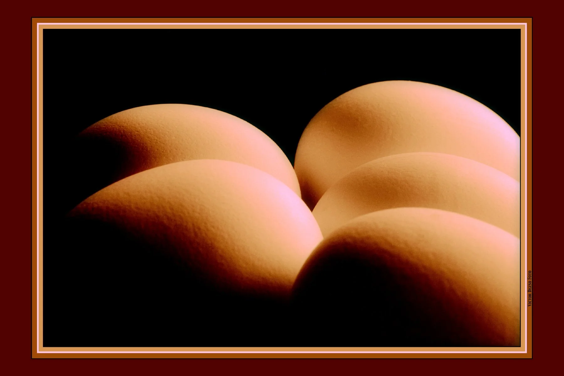 Eggs_7a_2_4x6s.jpg