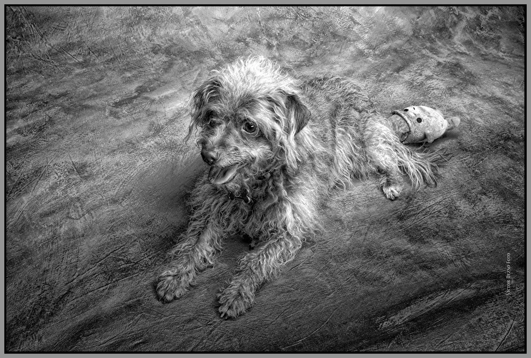 Frances_Jun 11_2023_4H7693_peGlossyCover_LightPencil_4x6s.jpg