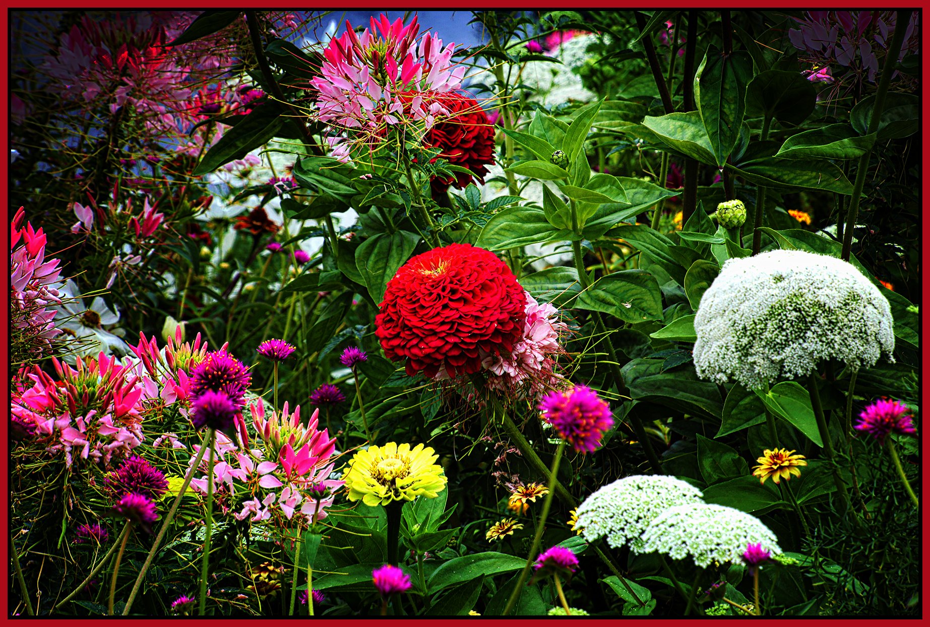 Flowers_Aug 14_2024_HDR_5E8266_peShrpfctBrdetl_4x6s.jpg