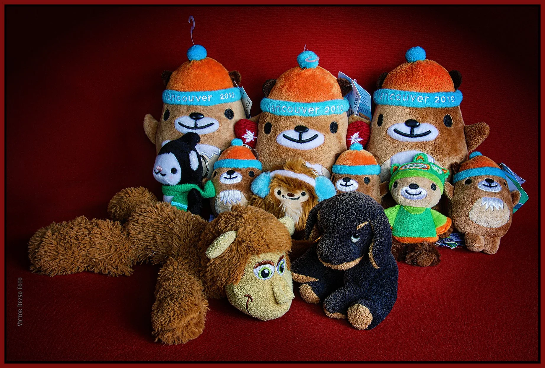Monkey & Friends_Feb 16_2025_HDR_4J5639_peShrpfctBrtnd_4x6s.jpg
