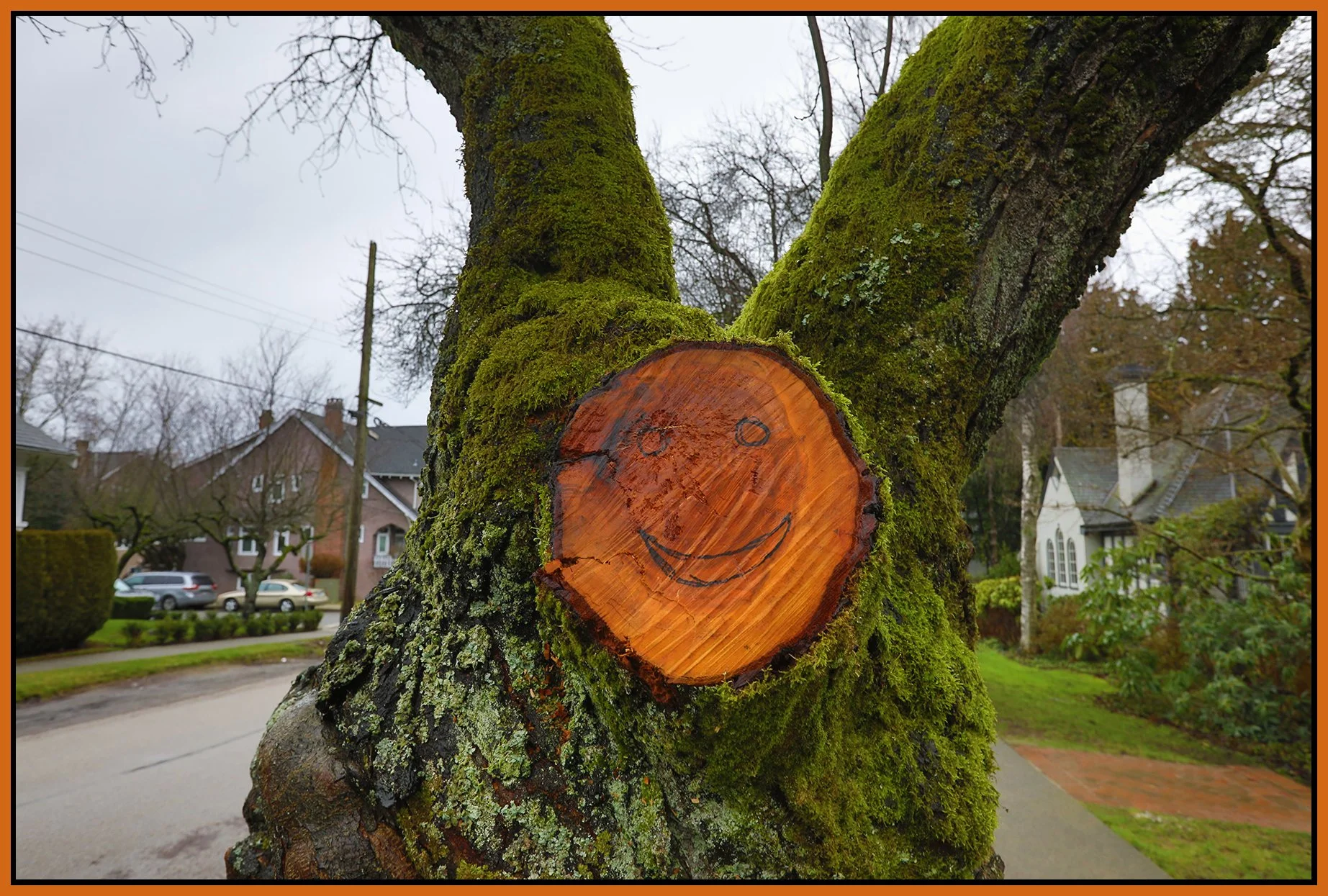 1820 Bayswater St Happy Face Tree_Feb 1_2023_HDR_5D3410_4x6s.jpg