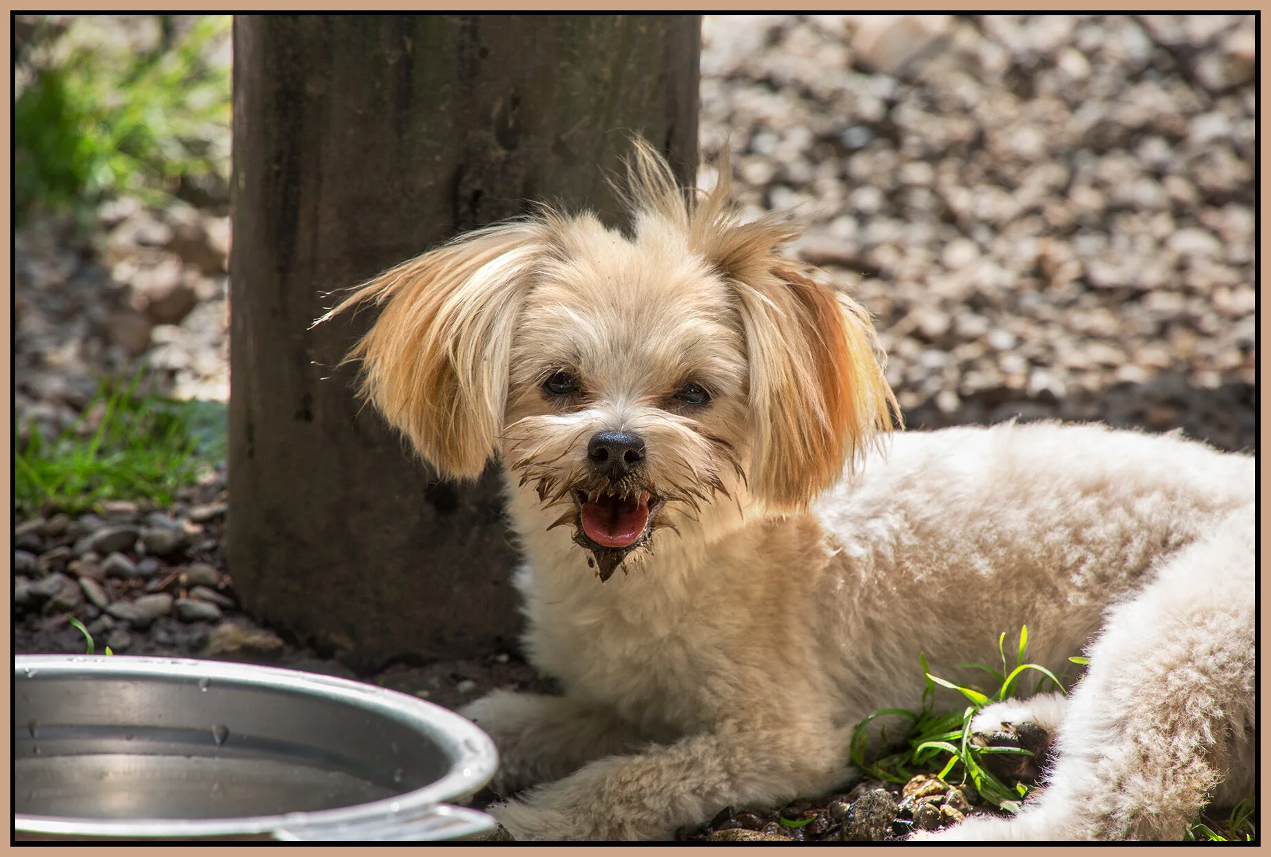 Eloise in New West_May 21_2018_CR2_A3612_4x6s.jpg