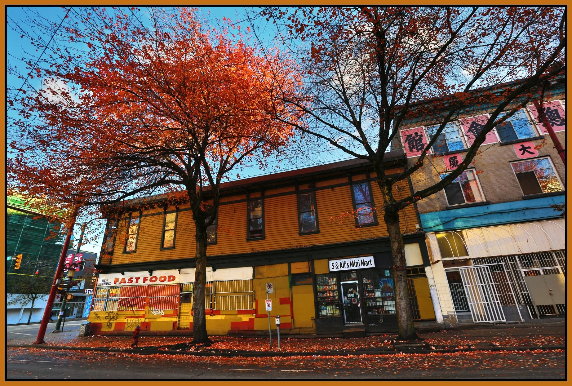 New Brandiz mkt_Nov 11_2015_HDR_H0898_4x6s.jpg