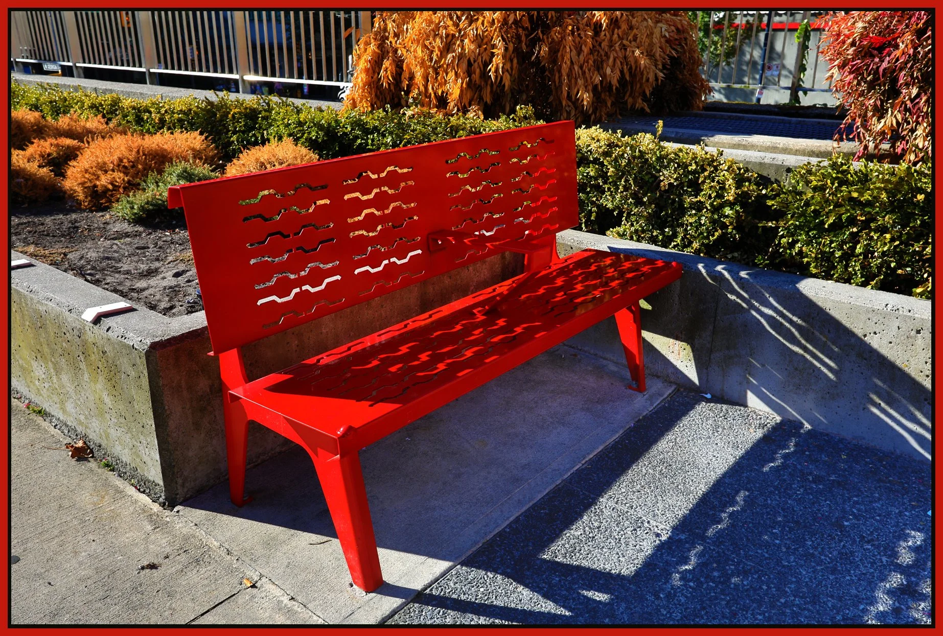 Bench at Queen E. Theatre_Sep 4_2017_HDR_B2207_4x6s.jpg