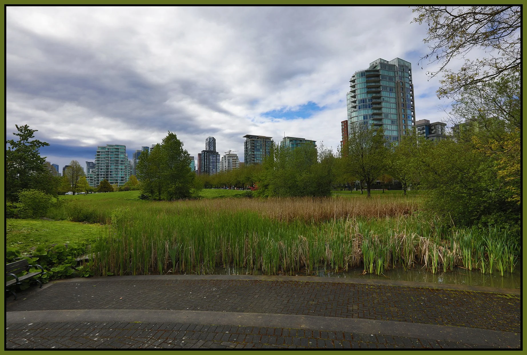 Stanley Park Bullrushes_May 16_2022_HDR_5B4882_4x6s.jpg
