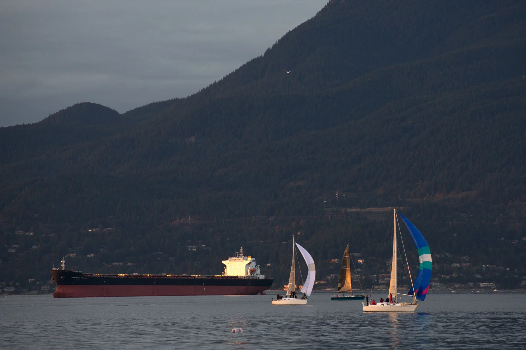 Sail Boats_Oct 5_2013_HDR_D0618_4x6.jpg