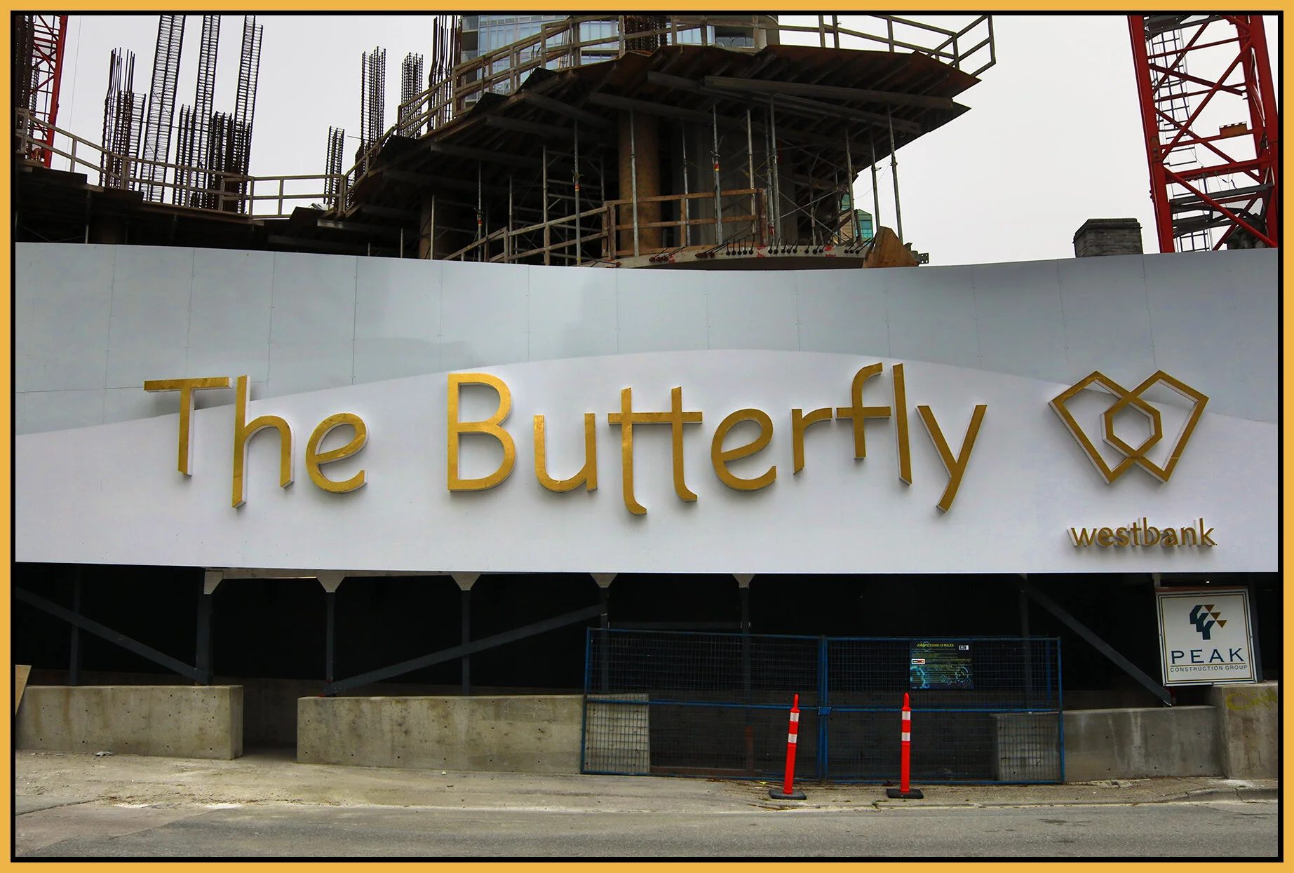 The Butterfly Sign_May 30_2021_HDR_4G9278_4x6s.jpg