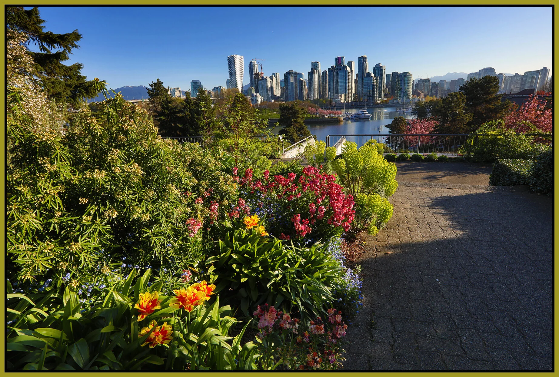 1 View Vancouver_Apr 21_2021_HDR_5A9681_4x6s.jpg