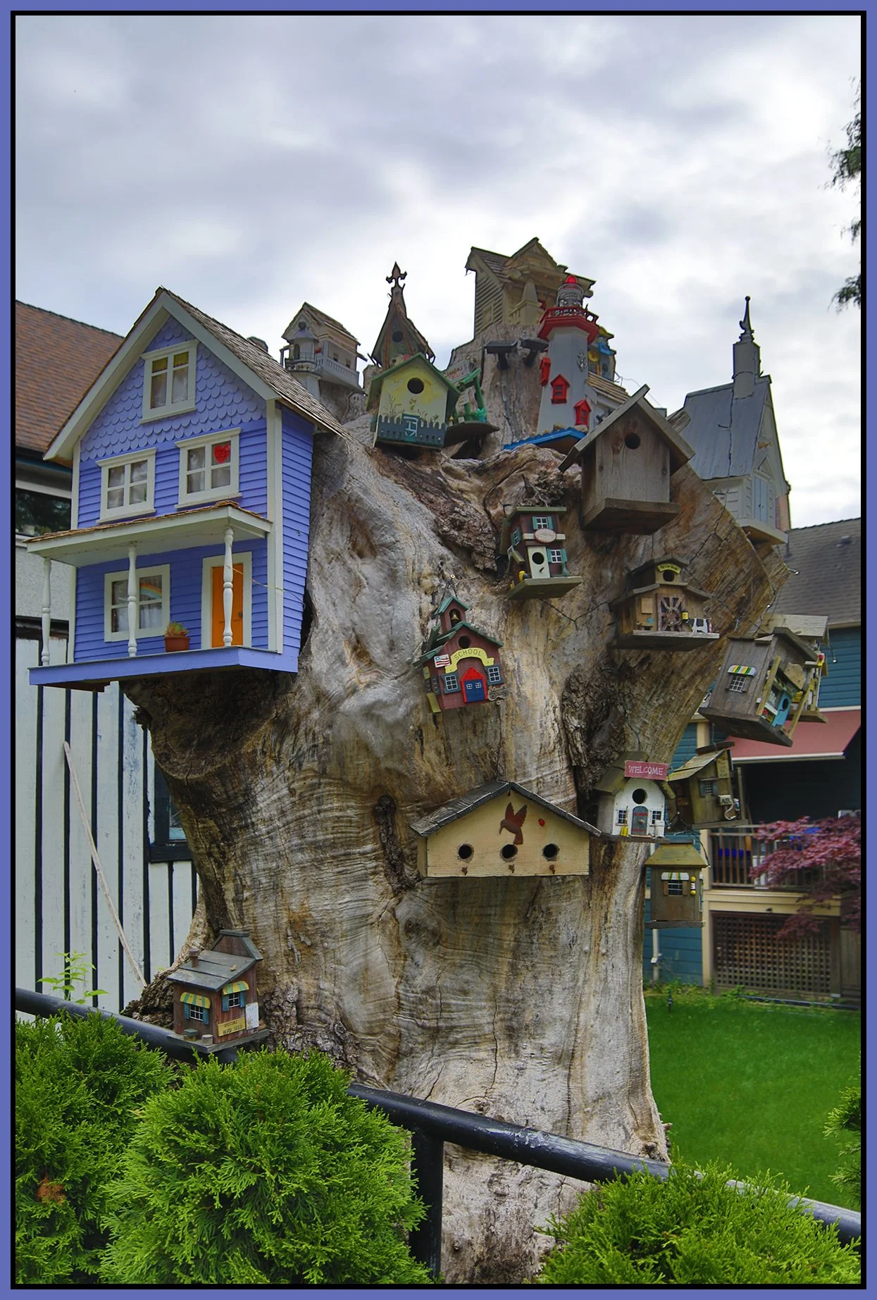 580 Heatley Tree Houses_July 1_2024_HDR_5E5531_4x6s.jpg