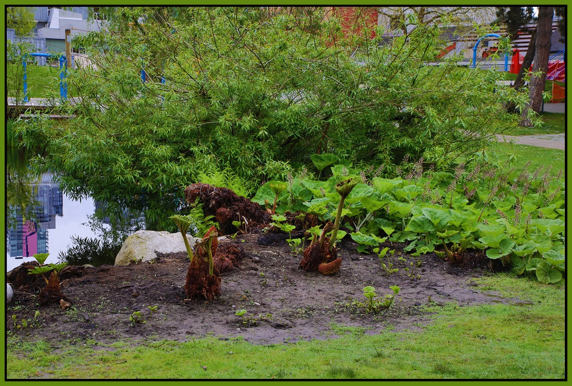 Granville Island Plants_May 4_2022_HDR_5B4034_4x6s.jpg