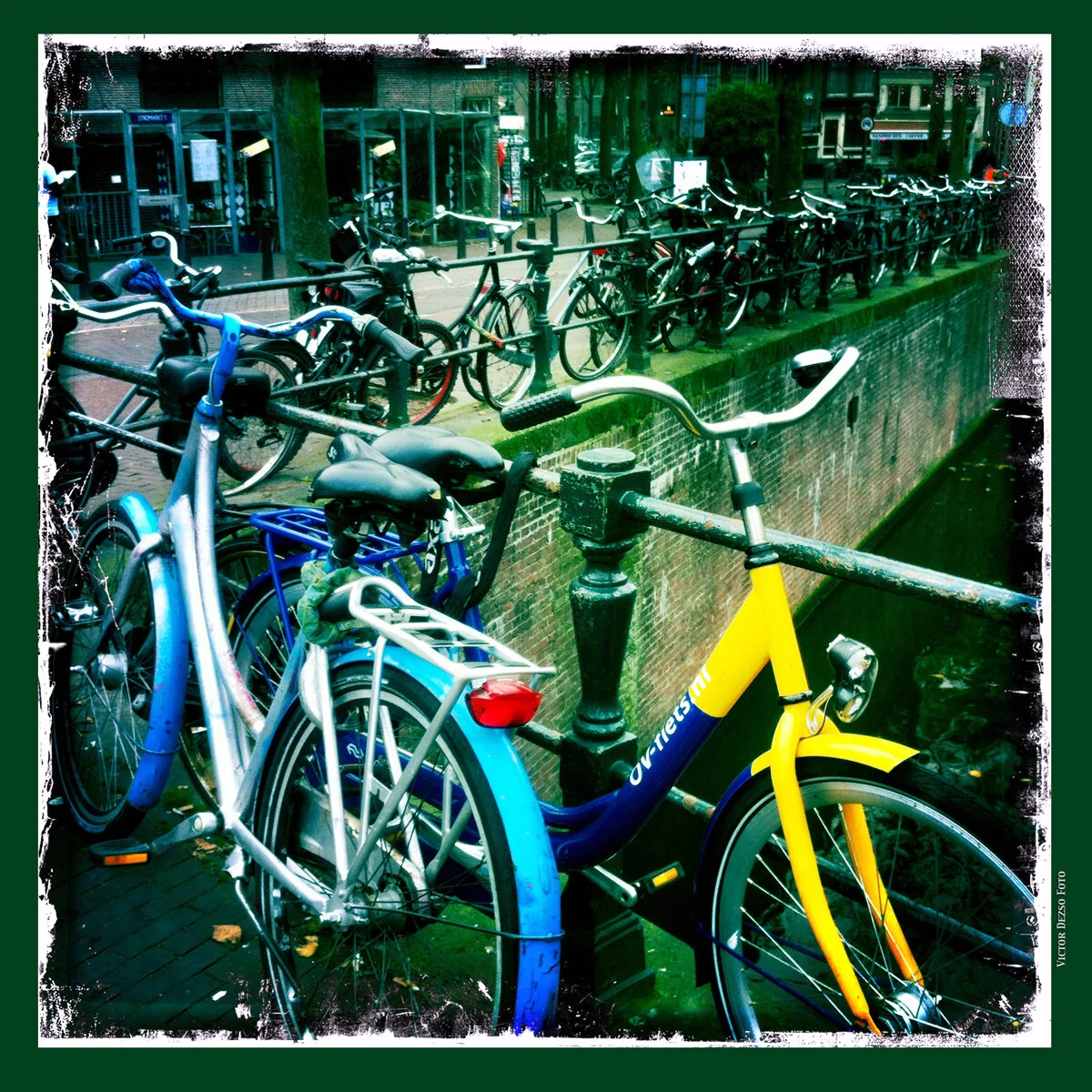 Amsterdam_Nov 8_2011_1544_4x4.jpg