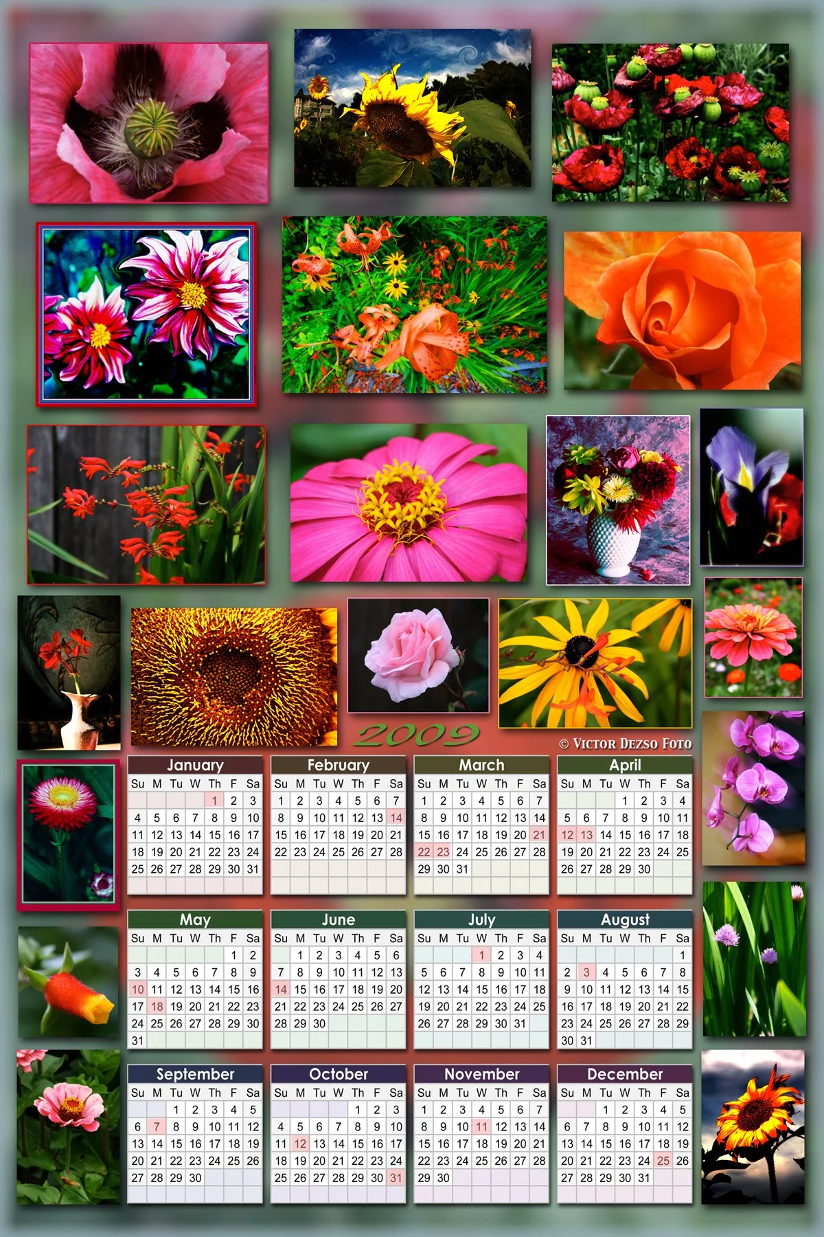2009 Calendar Flowers_1_4x6.jpg